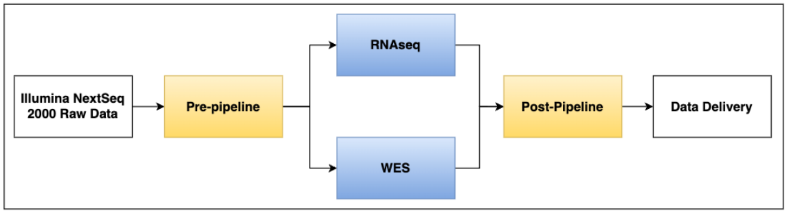 Workflow Overview