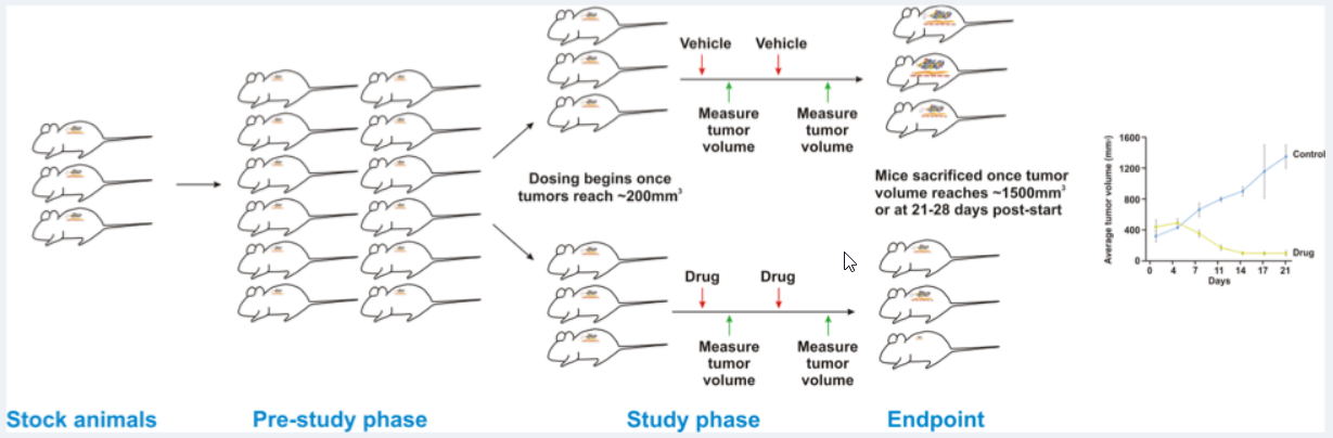 Drug Testing Workflow