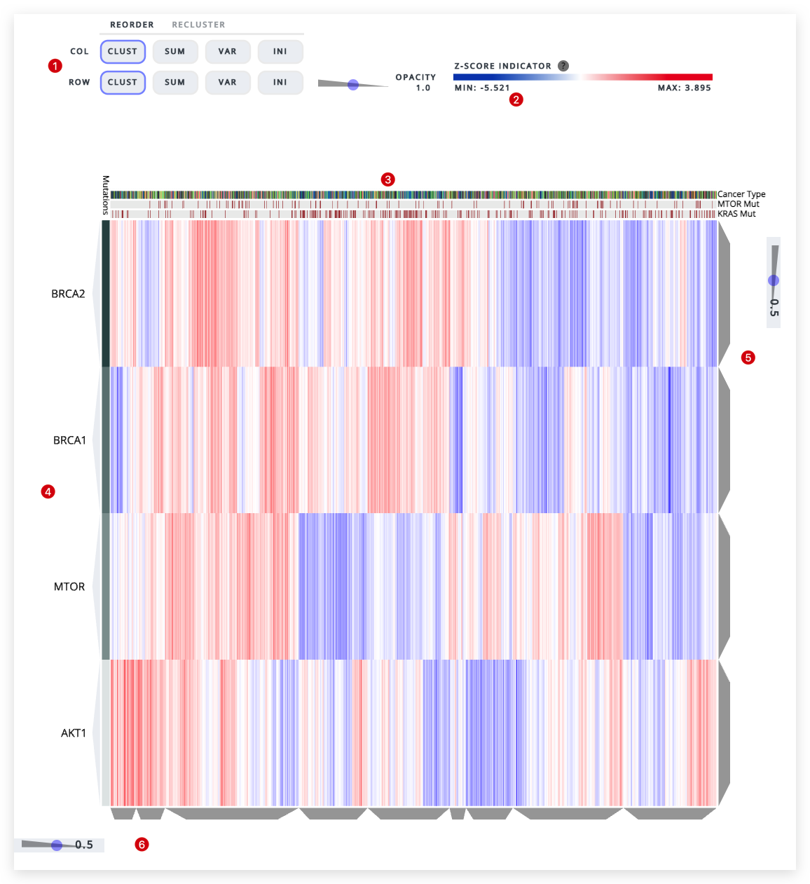Clustergrammer Visualization