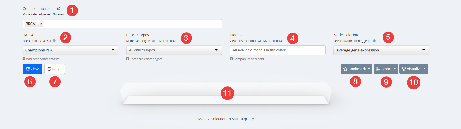 Network Inputs