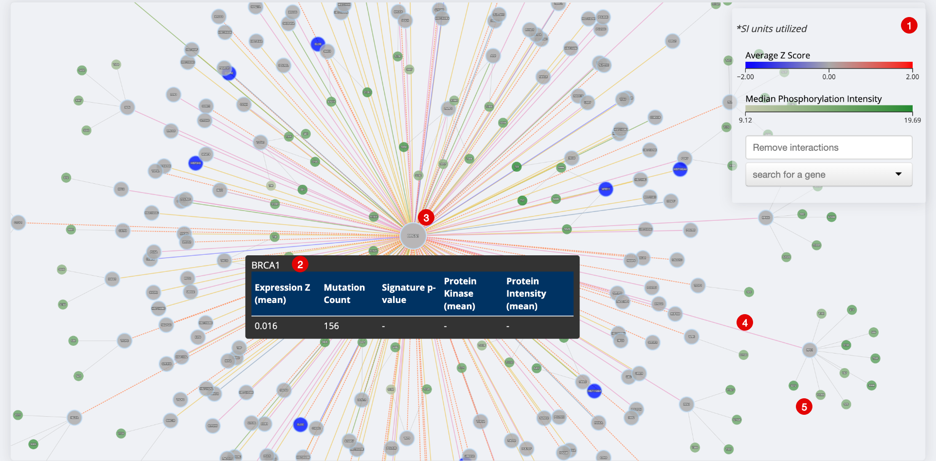 Networks Visualization